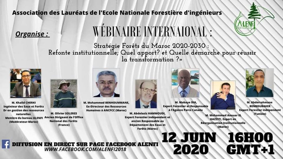 ALENFI: Stratégie Forêts du Maroc 2020-2030 : Refonte institutionnelle; Quel apport? et Quelle démarche pour réussir la transformation